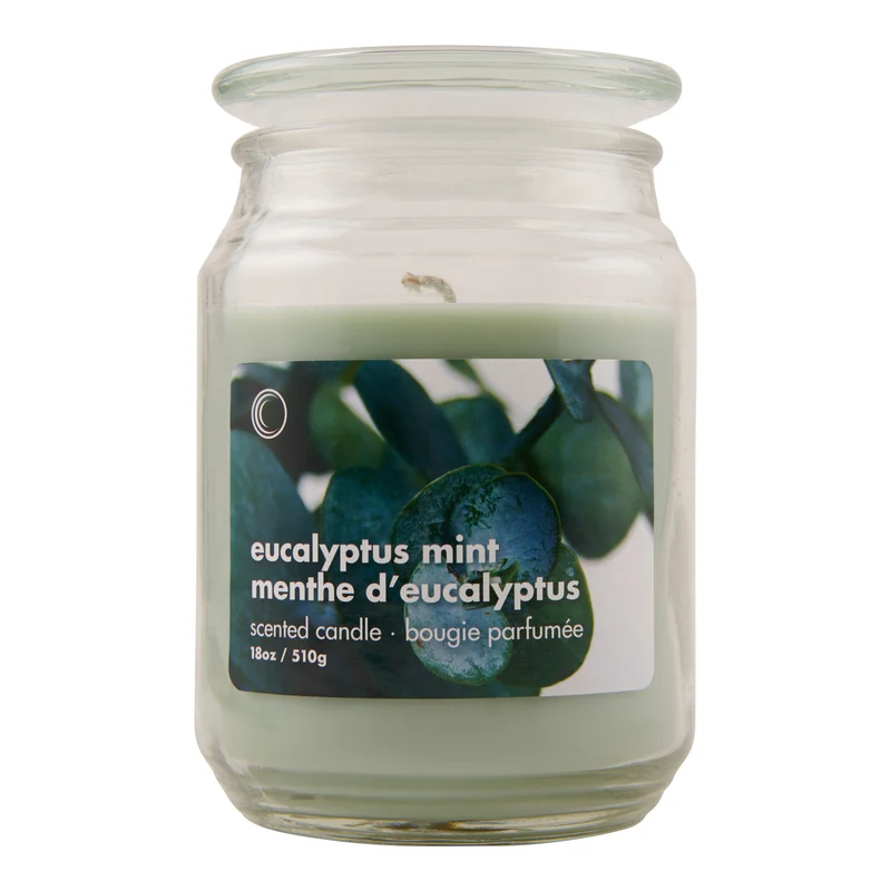 Eucalyptus Mint Jar Candle, 18-oz