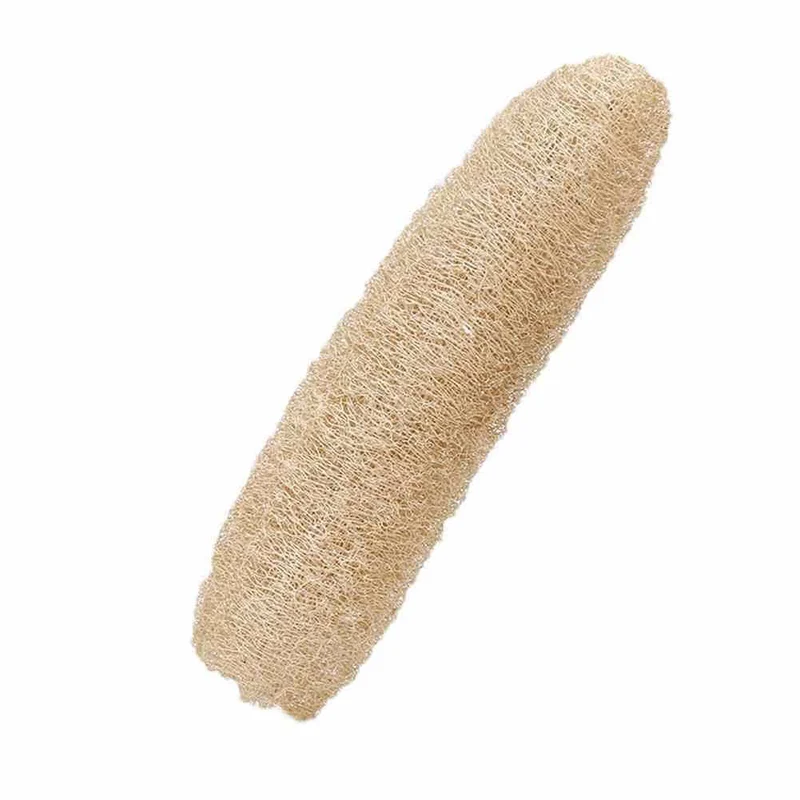 Éponge Courge Luffa