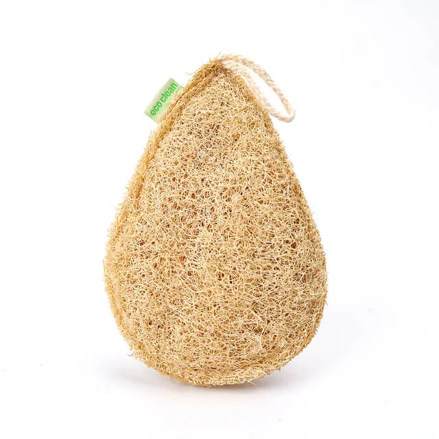Éponge Luffa Cuisine