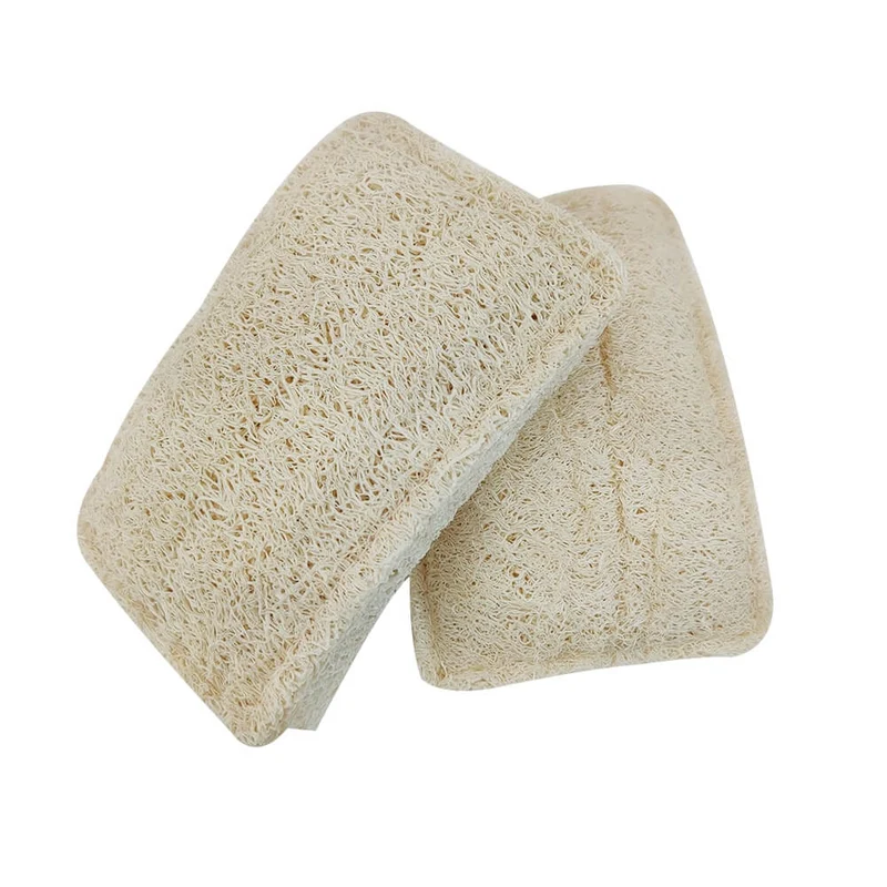 Éponge Luffa