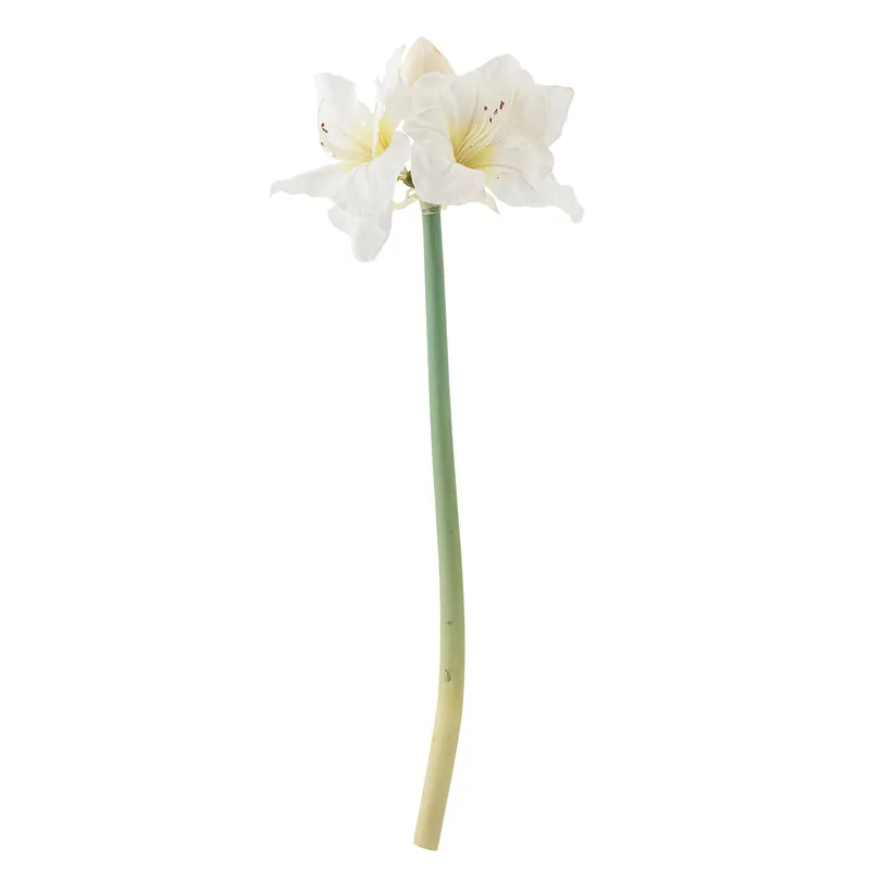 Tige décorative AMARYLLIS