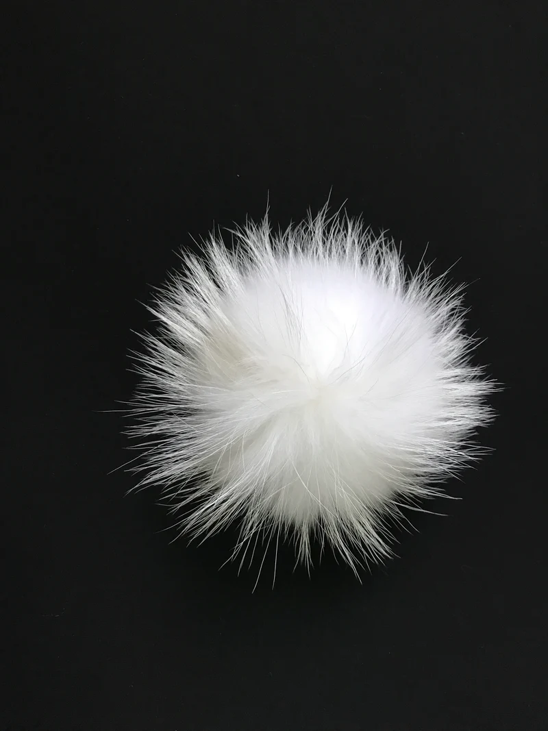Pompon -8-