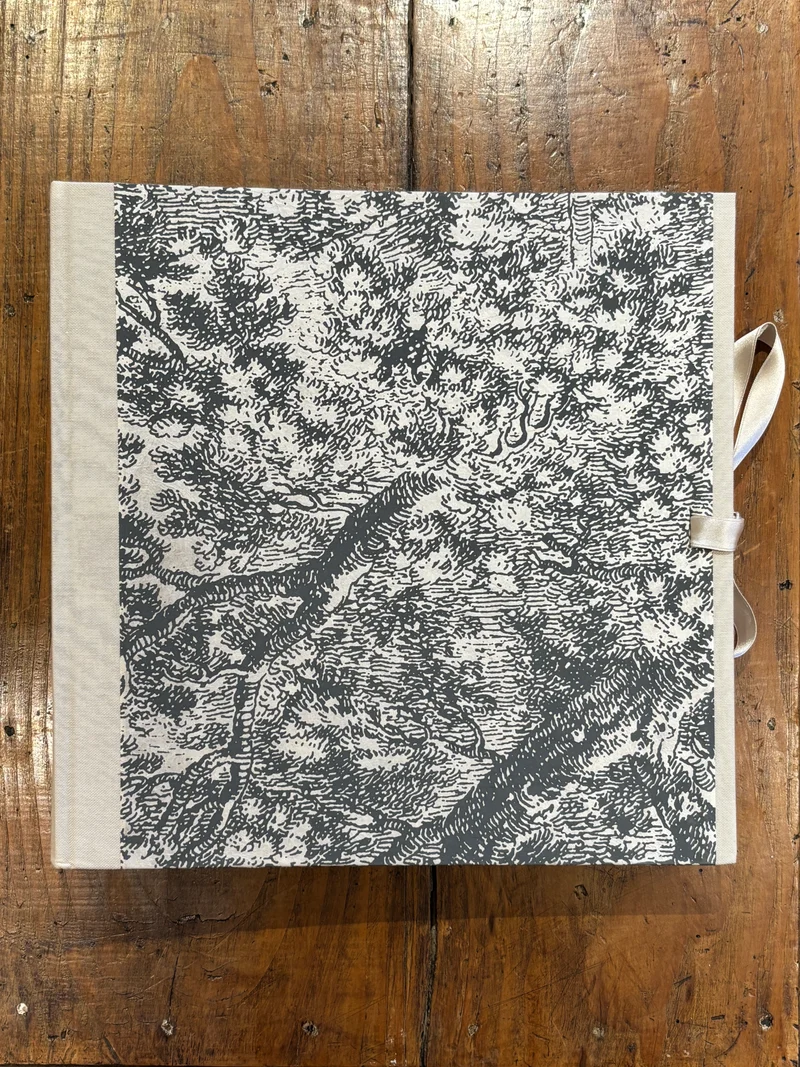 Arbre Blanc/Gris - Grand Album Photo Trait