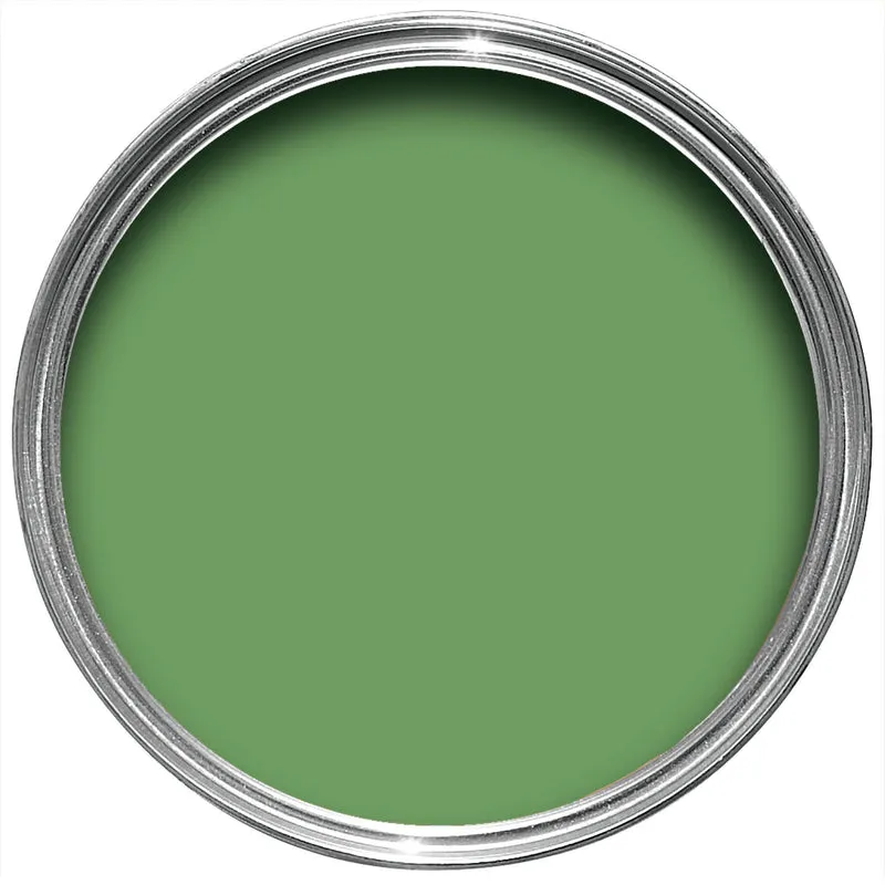 Raw Tomatillo No CB6 | Farrow & Ball