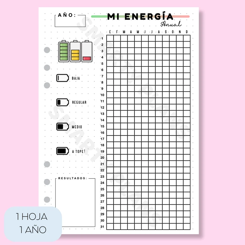 Hoja Anual - Mi Energía