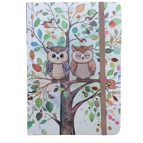 Carnet notebook A6 - Hiboux dans un arbre