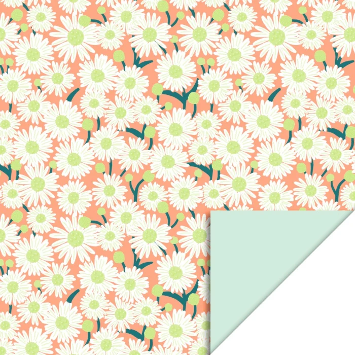Rouleau papier cadeau - Daisy Peach