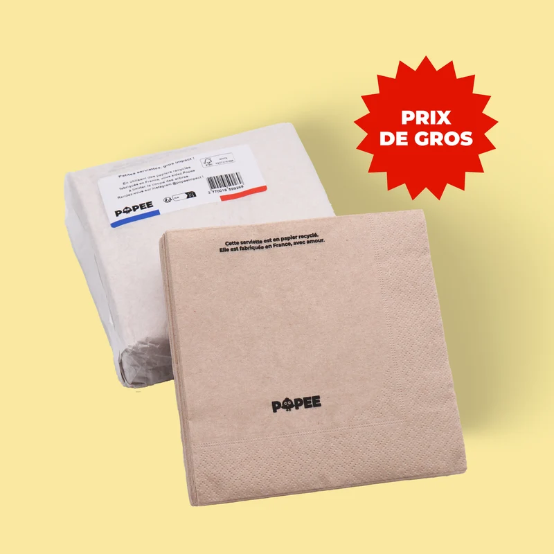 SERVIETTES - Lot de 60 paquets de 50