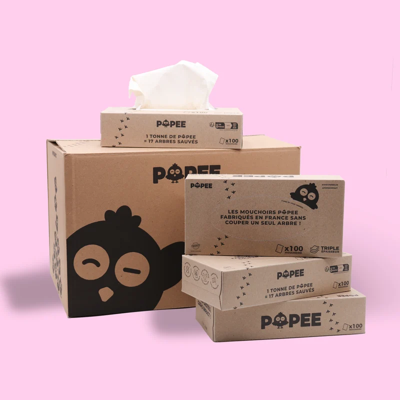 BOÎTES DE MOUCHOIRS - Mouchoirs en papier en Abonnement sans engagement