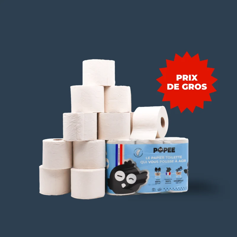 Papier Toilette Triple Épaisseur 200 Feuilles | Lot de 60 Rouleaux Recyclés
