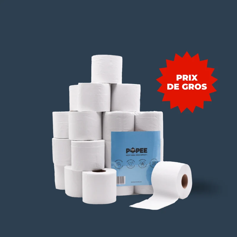 Papier Toilette Double Épaisseur 350 Feuilles | Lot de 72 Rouleaux Recyclés