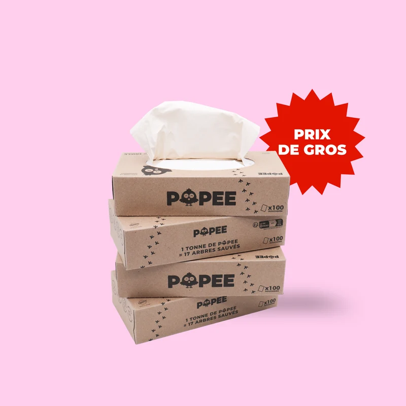 Mouchoirs Peaux Sensibles Triple Épaisseur | Lot de 35 Boîtes × 100 mouchoirs