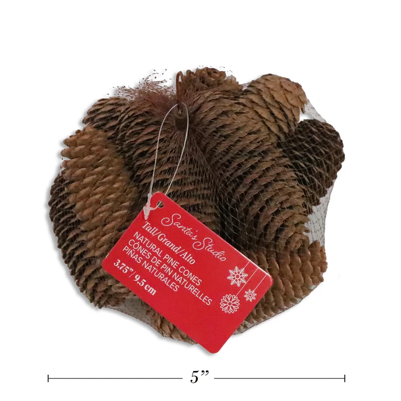 Decorative Pinecones, 8 Pack
