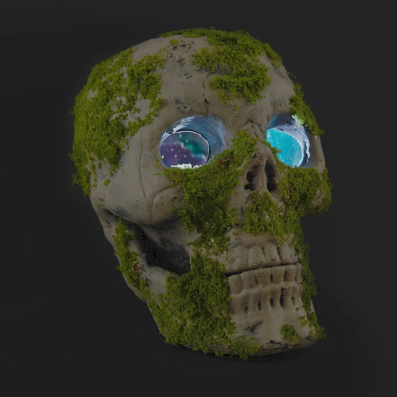 Light-Up Moss Skull, 10-in x 8-in x 10-in.