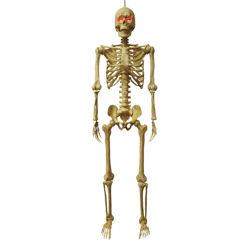 LED Poseable Skeleton, 15-in x 5-ft.