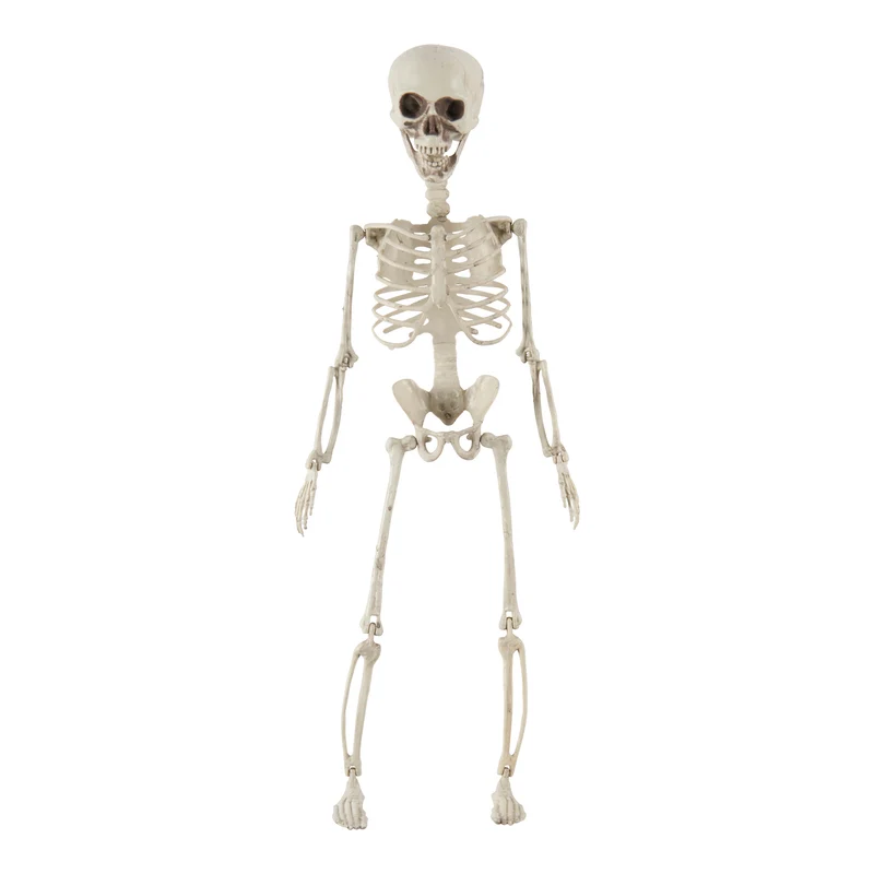 Poseable Hanging Skeleton, 28-in.
