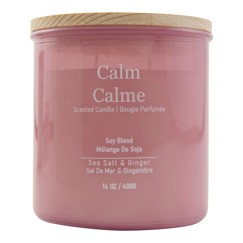HomeStyles Calm Soy Wax Candle, Sea Salt & Ginger, 14-oz.