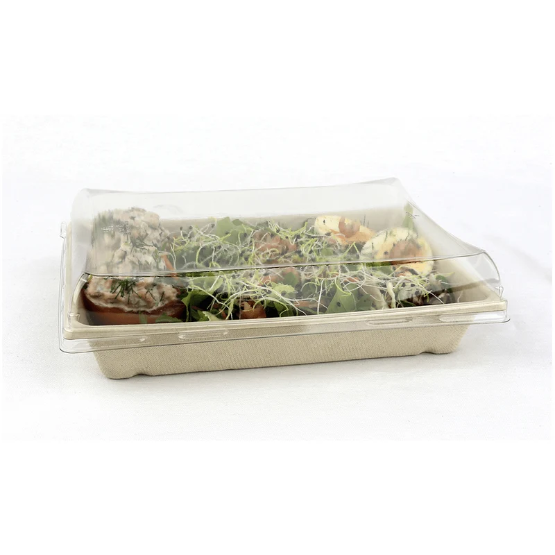 SABERT - Barquette rectangulaire 750ml en Pulpe avec couvercles (150pc)