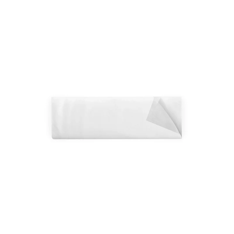 Voiles de dépoussiérage imprégnés 85cm 50 pcs - TTS